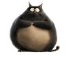 Fat Katze_Kuchen