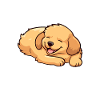 I Golden more reductively