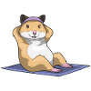 Hamster Abdominal Muscle Training Bodybuilding