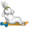 Bunny Abdominal Training Bodybuilding