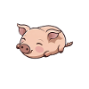 I pig