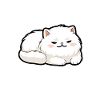 I Persian Cat