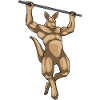 Kangourou Bodybuilder Pull-Ups Musculation