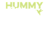 Hummingbird Hummingbird Mom