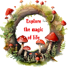 Magic of life