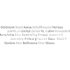 Schweizer Städte Schweizer