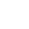 Evolution Rock Gitarre