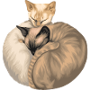 Cats // Illustration