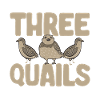 Quail Bird