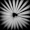 Light Flower