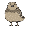 Quail Bird