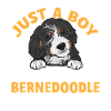 Bernedoodle Dog