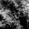 underwater