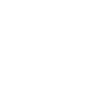 Dagens prognose 100% chance for DNS-problemer