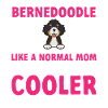 Bernedoodle Dog