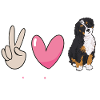 Chien Bernedoodle
