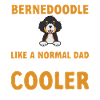 Chien Bernedoodle