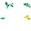 Hello Spring
