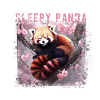 sleepy panda,red panda,sakura,cherry blossom,panda,