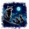 waschbär, mond,jaulen,nacht,bär,graffiti