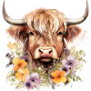 Majestic Highland : Portrait of a Highland Cow