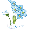 Forget-me-not primrose spring