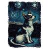 Chihuahua Nuit étoilée