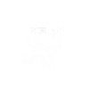 freedom 自由 - streetwear