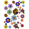 Flowers Cute Nature