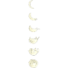 Moon Cat