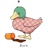 Duck.