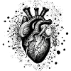 Coeur