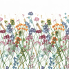 Flower meadow