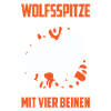 Wolfsspitz Habe einen Deutscher Wolfsspitz