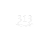 313