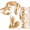 Magyar Vizsla drawing head gold