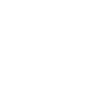Complotiste Temps Complet