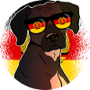 DDR