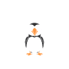 macareux