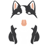 Shikoku