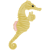 Hippocampe Pouces Hippocampes