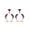 macareux