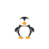 macareux