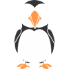 puffin