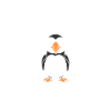 macareux