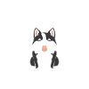Shikoku