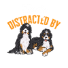 Bernedoodle Dog