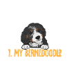 Chien Bernedoodle