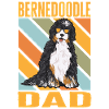 Bernedoodle Dog