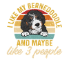 Bernedoodle Hund
